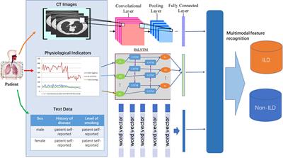 ILDIM-MFAM: interstitial lung disease identification model with multi-modal fusion attention mechanism